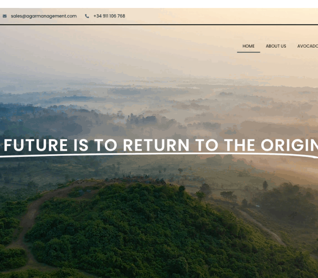 agar management diseño web