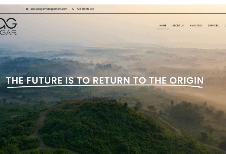 agar management diseño web